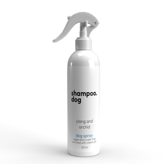 Ylang & Orchid Dog Spray